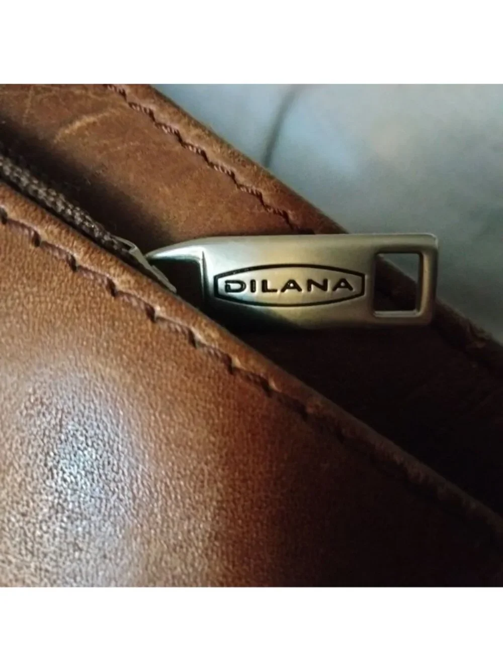 Dilana middle main
